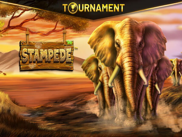 Brabet como jogar